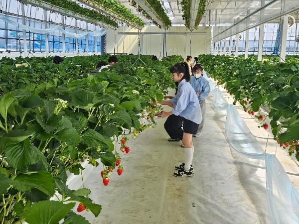 4월 활동 사진 이미지