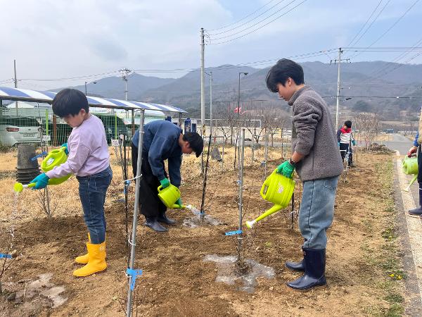 우리 손으로 일구는 무궁화 동산과 감자밭! (3.25) 이미지