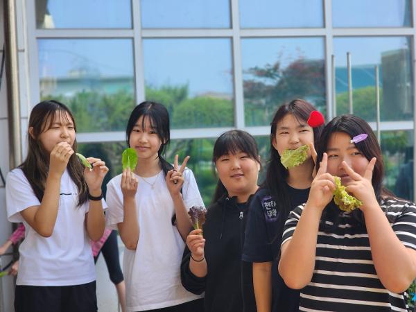 수확의 기쁨(5월 29일) 이미지